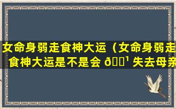 女命身弱走食神大运（女命身弱走食神大运是不是会 🌹 失去母亲）